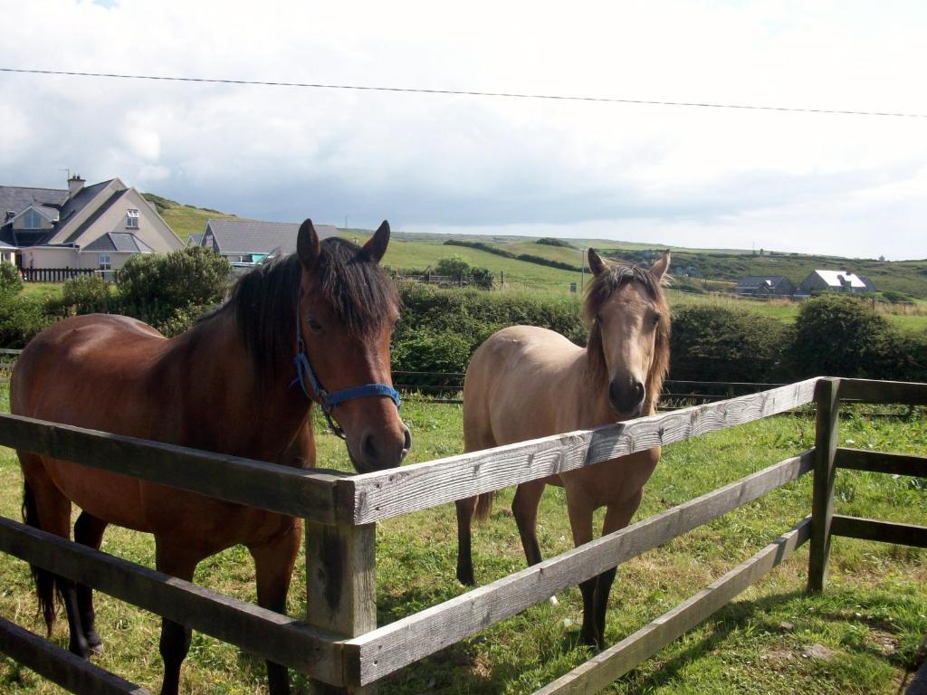 O'Connor'S Accommodation Doolin Bagian luar foto