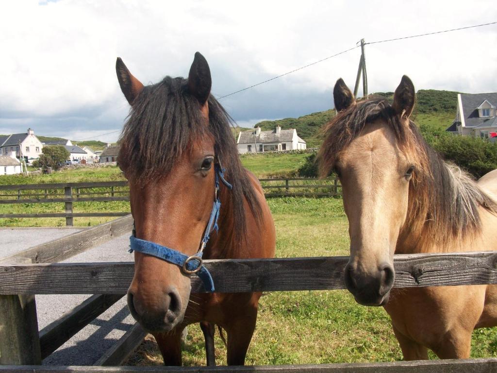 O'Connor'S Accommodation Doolin Bagian luar foto