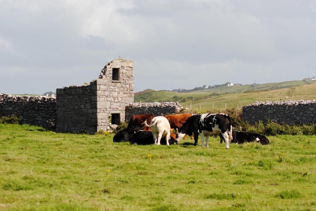 O'Connor'S Accommodation Doolin Bagian luar foto