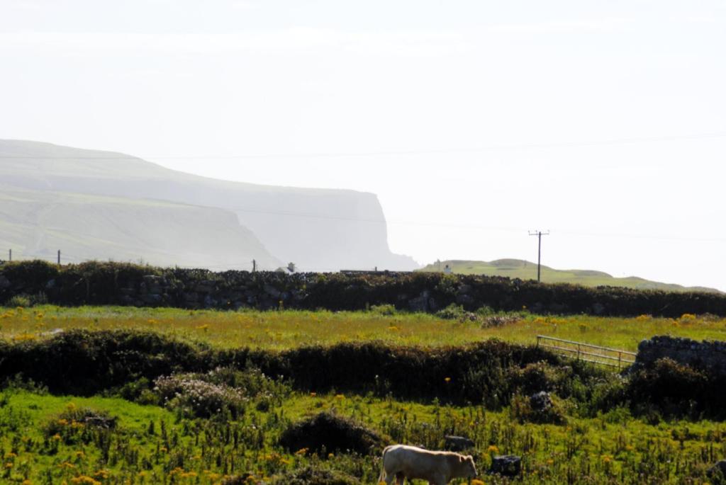 O'Connor'S Accommodation Doolin Bagian luar foto