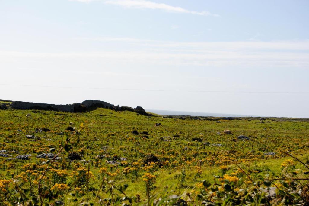 O'Connor'S Accommodation Doolin Bagian luar foto